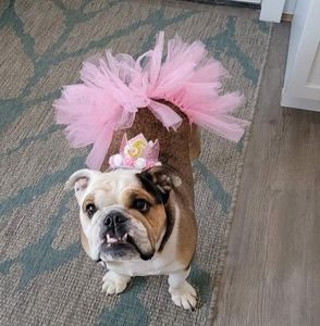 Meet your Posher, Kimberley